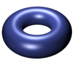 simple torus