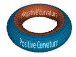 torus_positive_and_negative_curvature