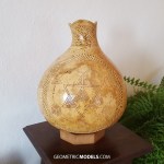 Flower of life and merkaba gourd day view 01