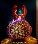 Flower of life and sun gourd lamp night view 02