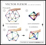 02 – Vector Flexor